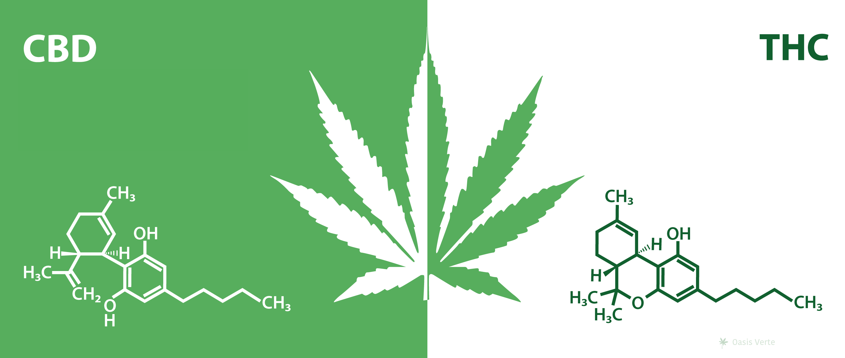 formule-chimique-cbd-vs-thc
